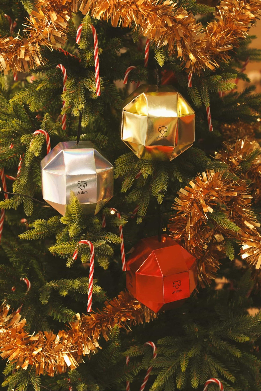2x Holiday Pack - Stylr