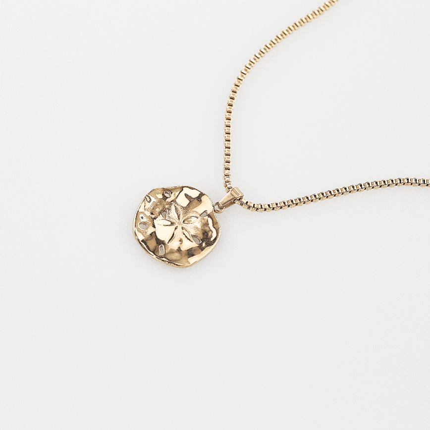 Flower Sand Dollar