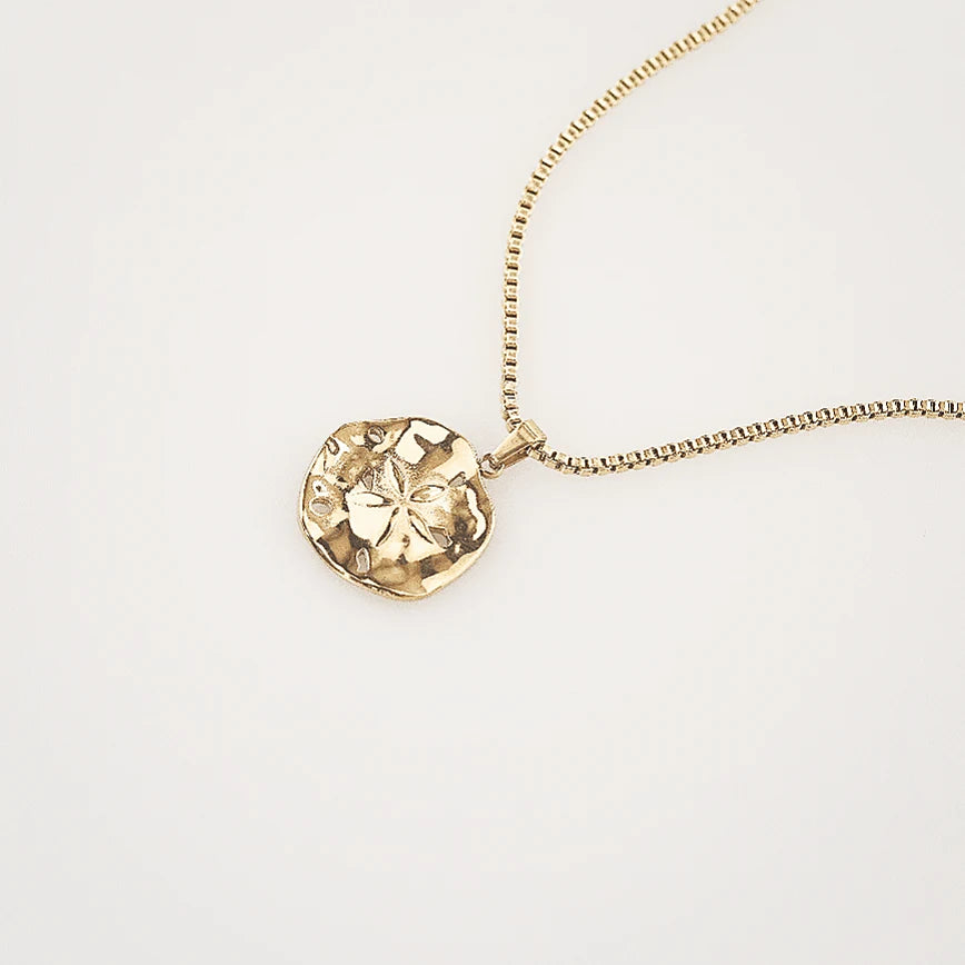 Flower Sand Dollar