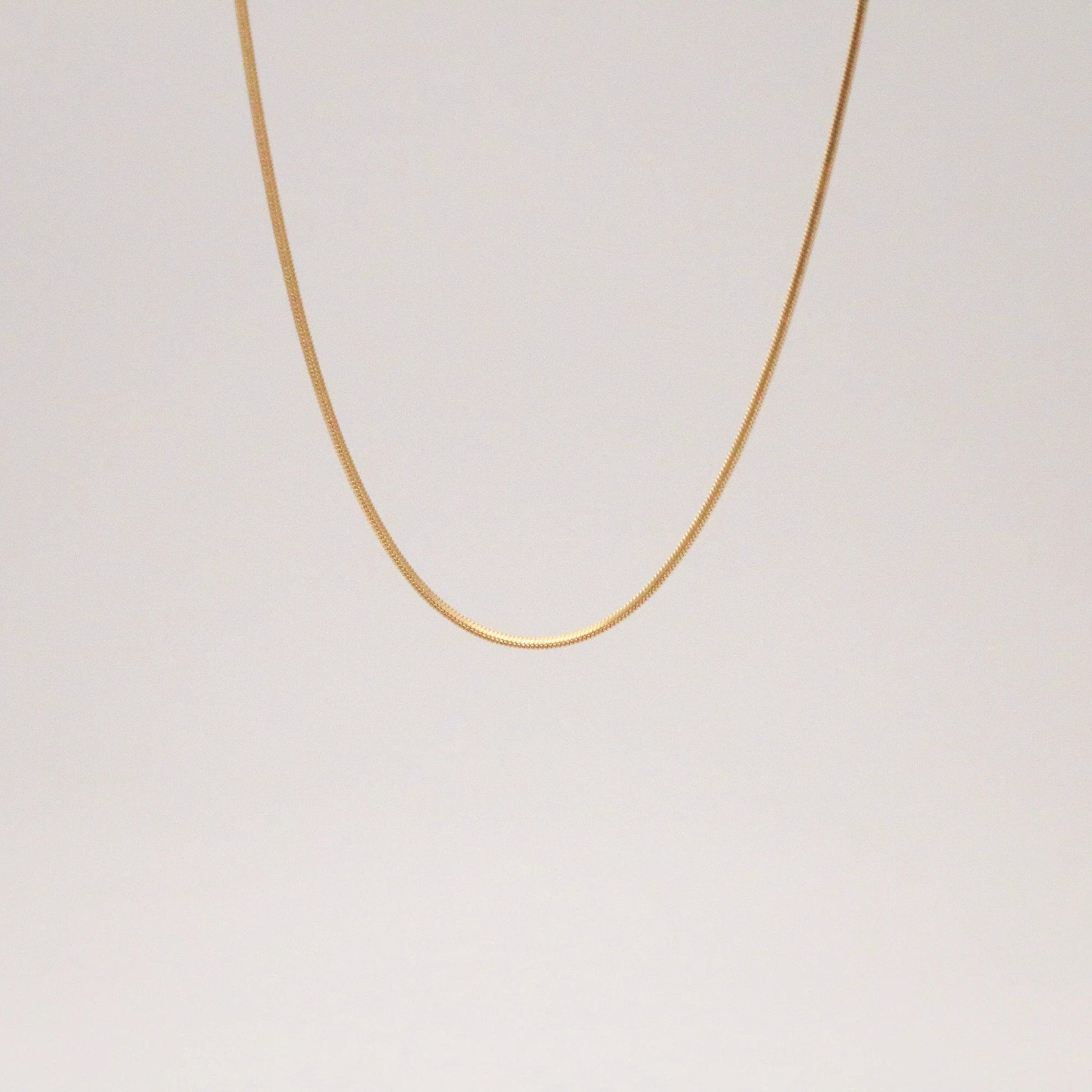Shimmer thin gold chain necklace