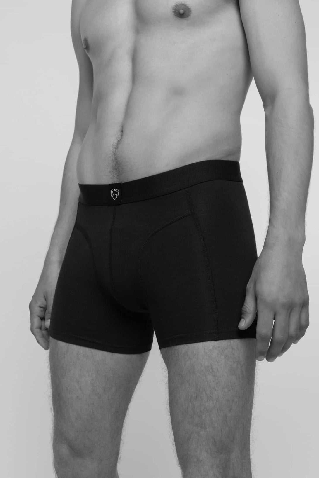 Boxer Brief Surprise 3x - Stylr