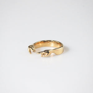 hands ring 