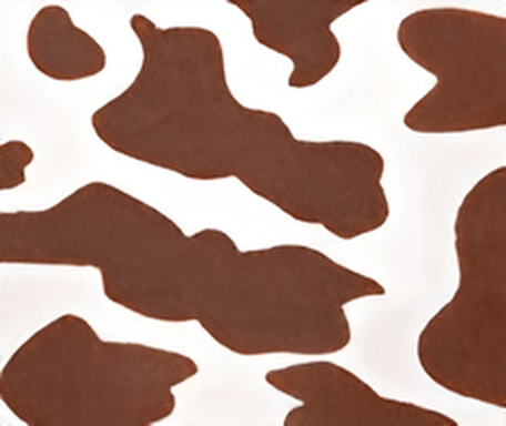 Momo Brown Cow - Pattern Mesh - sides boxer - Stylr
