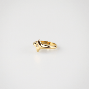 north star ring