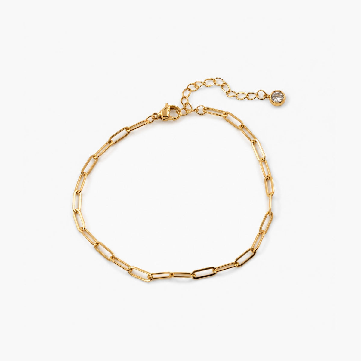 Paperclip Chain Anklet