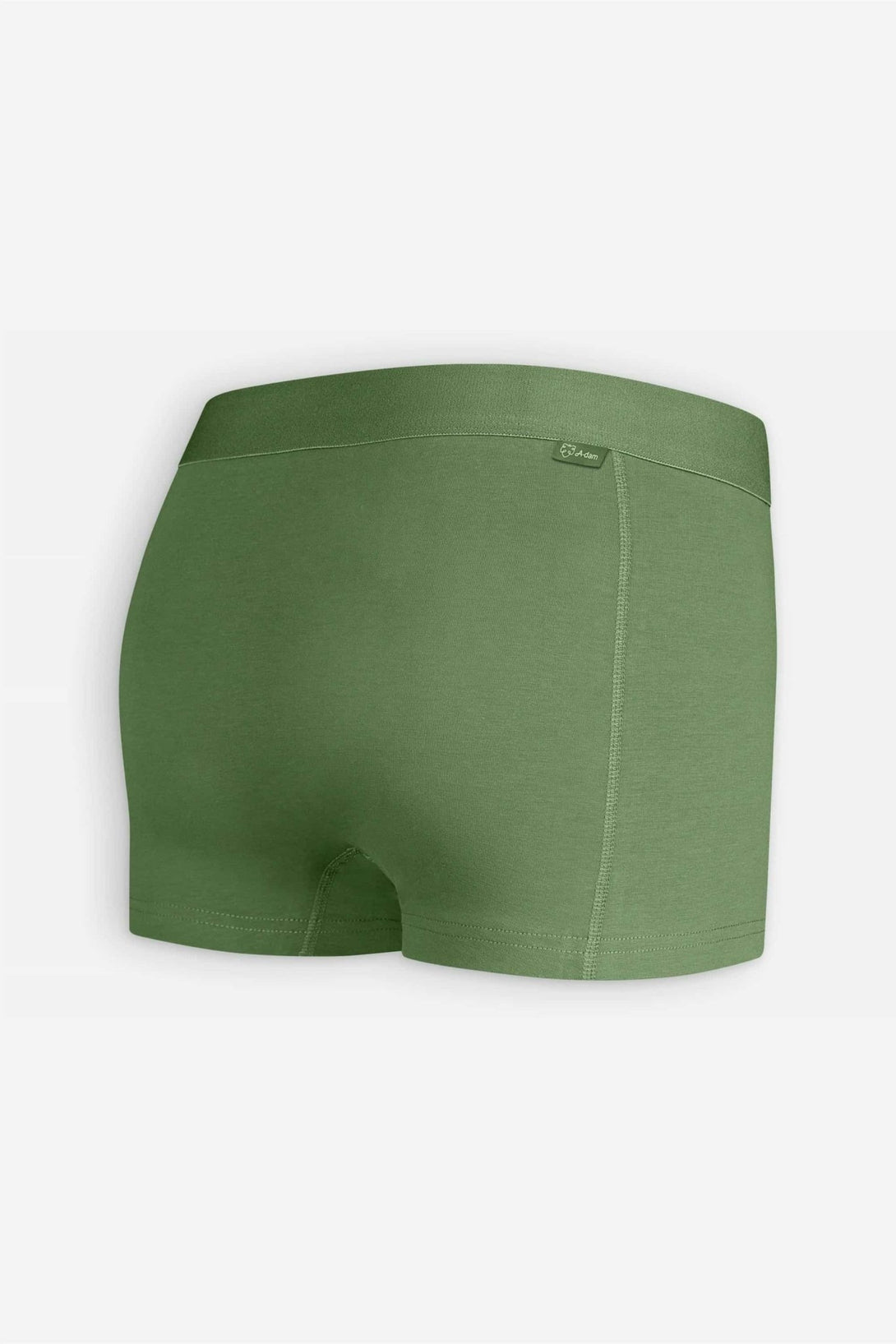 Solid Green Trunk - Stylr